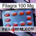 Filagra 100Mg 06